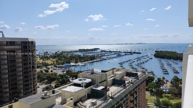 2889 Mcfarlane Rd Unit 1403, Miami, FL 33133 - water view featuring numerous boat docks