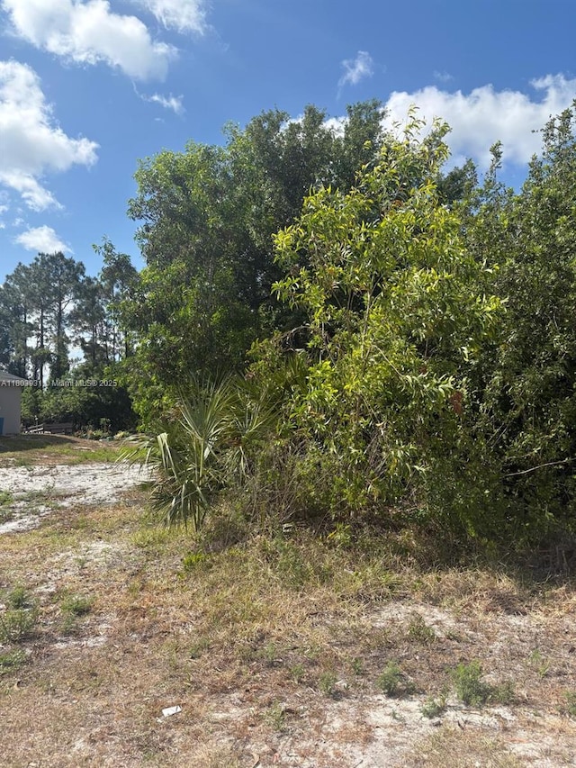 3319 SW 24th St, Lehigh Acres, FL 33976