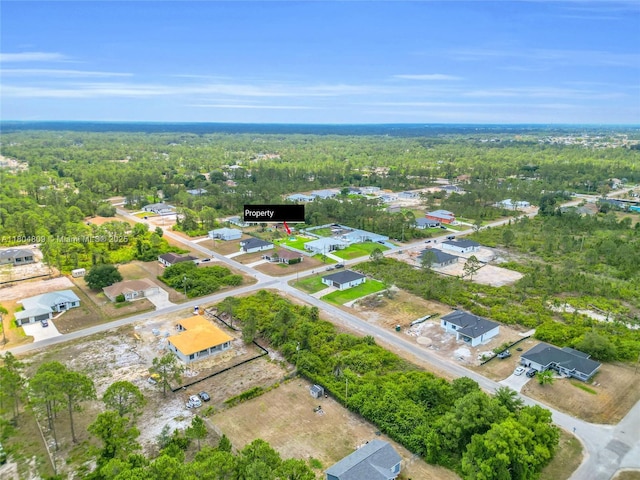 1020 Rush Ave, Lehigh Acres, FL 33972 - aerial view of property's location featuring a forest