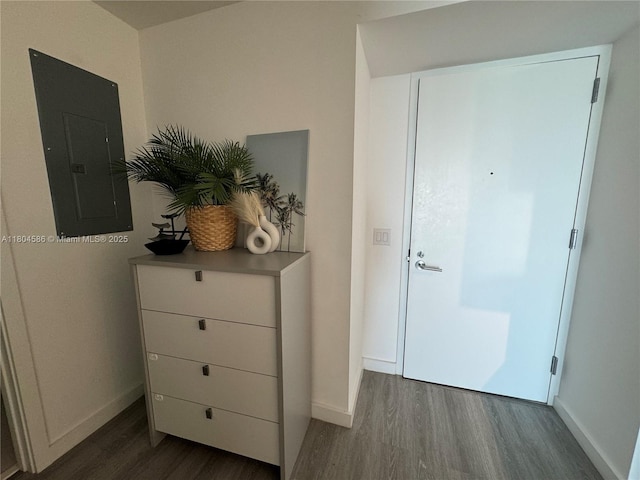501 NE 31st St Unit 2903, Miami, FL 33137 - bedroom with electric panel, dark wood finished floors, and baseboards