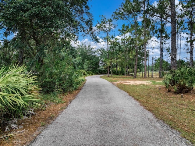 3324 Miller Ave, Lake Placid, FL 33852 - view of street