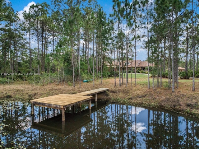 3324 Miller Ave, Lake Placid, FL 33852 - view of dock area