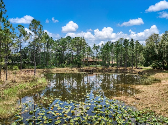 3324 Miller Ave, Lake Placid, FL 33852 - water view
