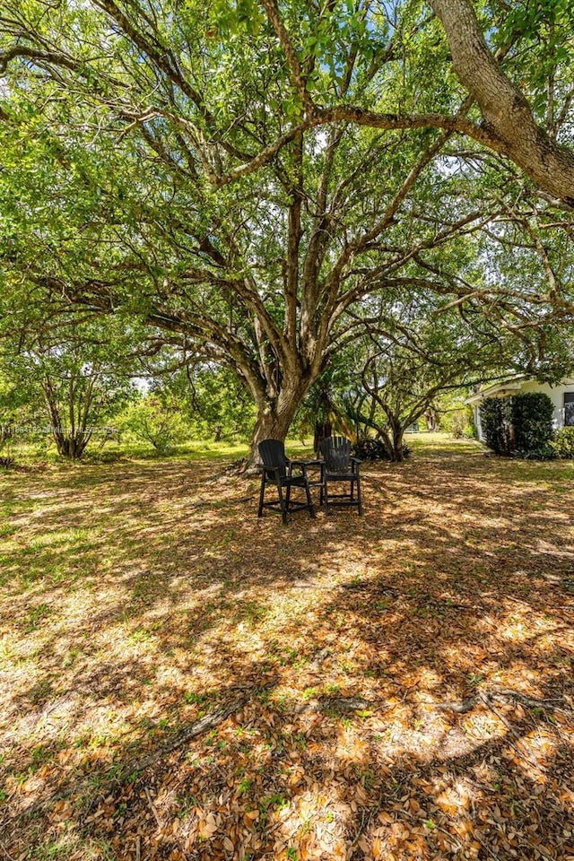 21800 SW 152nd Ave, Miami, FL 33170 - view of yard