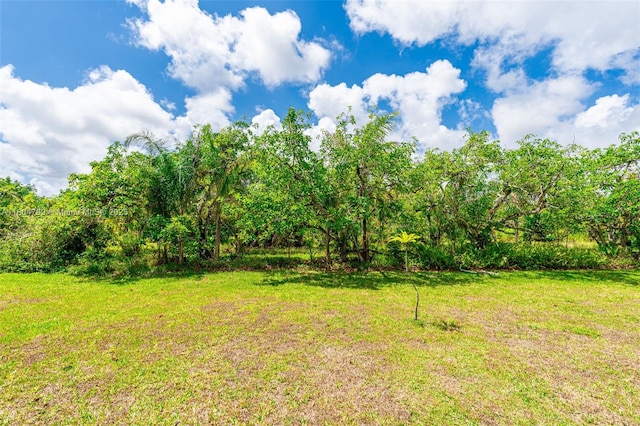 21800 SW 152nd Ave, Miami, FL 33170 - view of green lawn