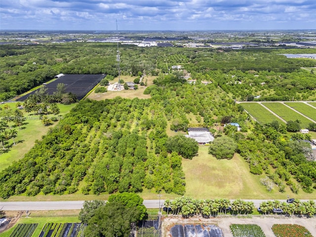 21800 SW 152nd Ave, Miami, FL 33170 - bird's eye view