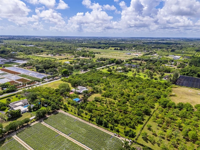 21800 SW 152nd Ave, Miami, FL 33170 - bird's eye view