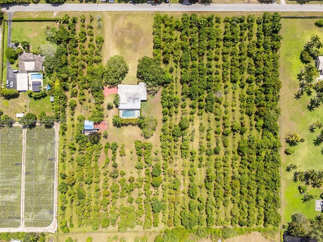 21800 SW 152nd Ave, Miami, FL 33170 - bird's eye view