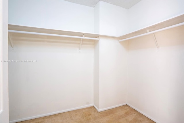 6770 Indian Creek Dr Unit 4P, Miami Beach, FL 33141 - spacious closet with carpet floors