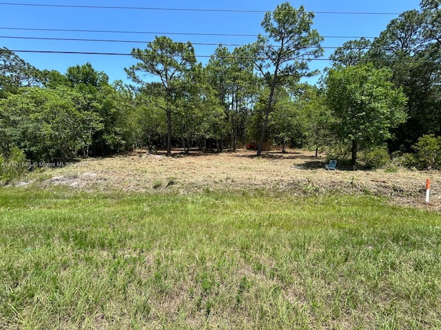 11287 S Suncoast Blvd, Homosassa, FL 34446 - photo 1