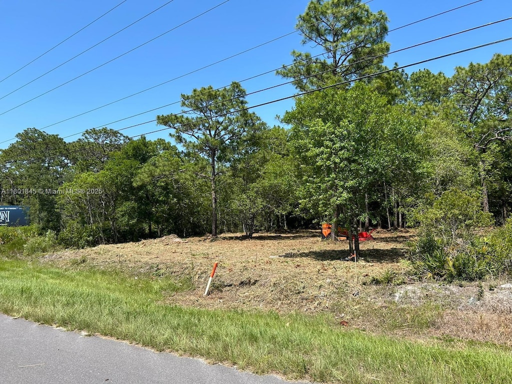 11287 S Suncoast Blvd, Homosassa, FL 34446 - photo 2