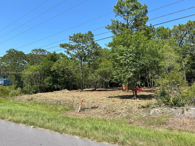 11287 S Suncoast Blvd, Homosassa, FL 34446 - photo 2