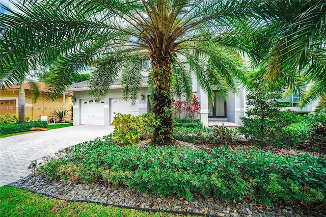 18201 NW 16th St, Pembroke Pines, FL 33029 - view of property hidden behind natural elements featuring stucco siding, decorative driveway, and a garage