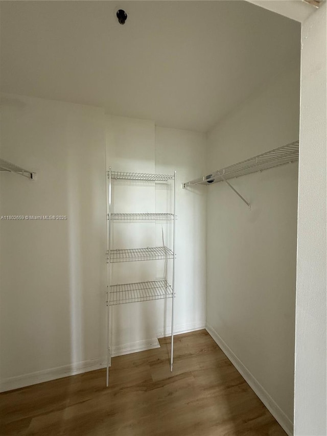 616 Clearwater Park Rd Unit 212, West Palm Beach, FL 33401 - walk in closet featuring wood finished floors