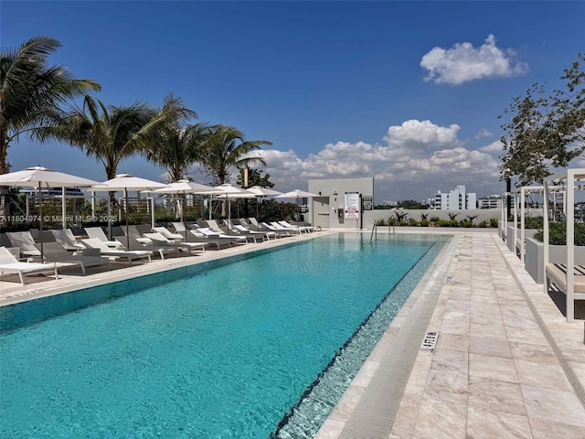 580 72nd St Unit 808, Miami Beach, FL 33141 - photo 5