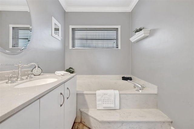 11955 Brim Way, Cooper City, FL 33026 - full bathroom featuring vanity, a garden tub, and ornamental molding