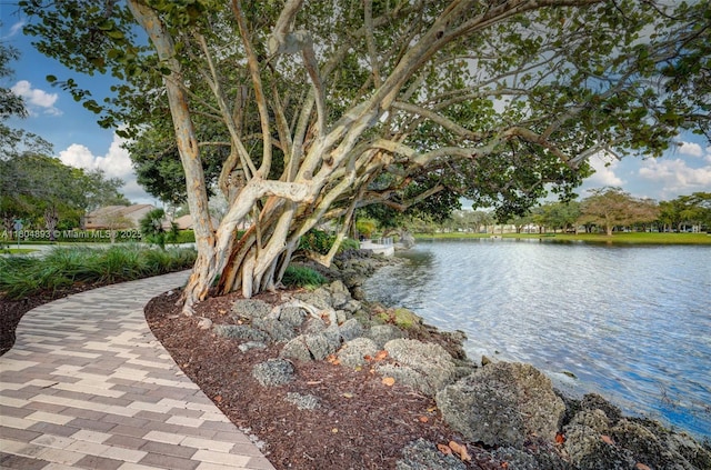11955 Brim Way, Cooper City, FL 33026 - water view