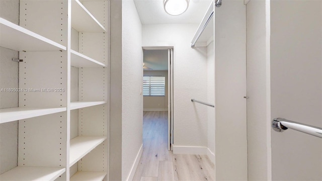 15805 W Waterside Cir Unit 202, Sunrise, FL 33326 - walk in closet with wood finished floors