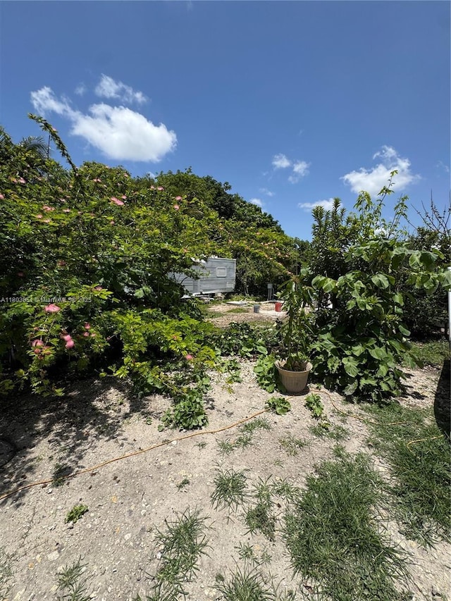 554 SW 7th St, Florida City, FL 33034 - view of yard