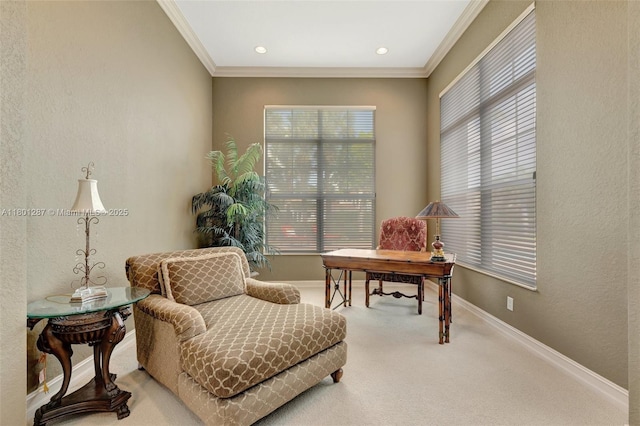 12668 NW 74th Pl, Parkland, FL 33076 - sitting room with carpet flooring, ornamental molding, baseboards, and a textured wall