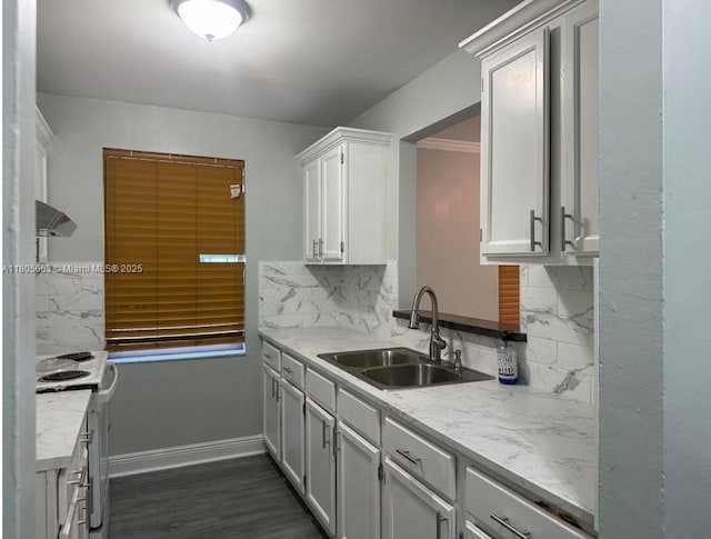 18761 SW 318th Ter, Homestead, FL 33030 - kitchen featuring electric range, a sink, backsplash, dark wood-type flooring, and ventilation hood