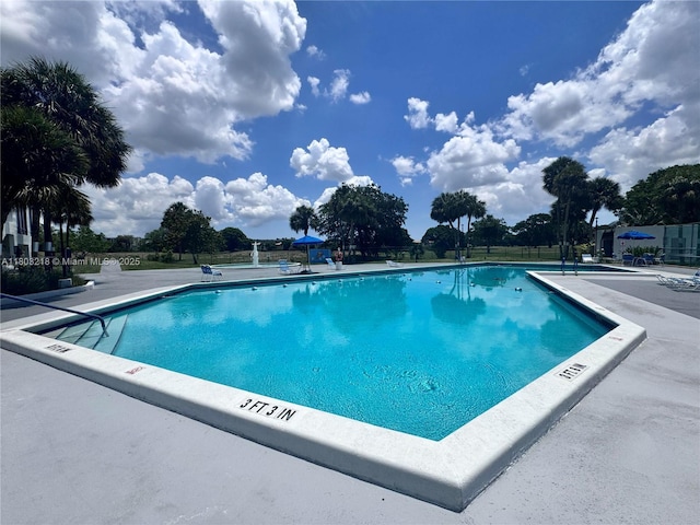 7081 Environ Blvd Unit 243, Lauderhill, FL 33319 - view of community pool