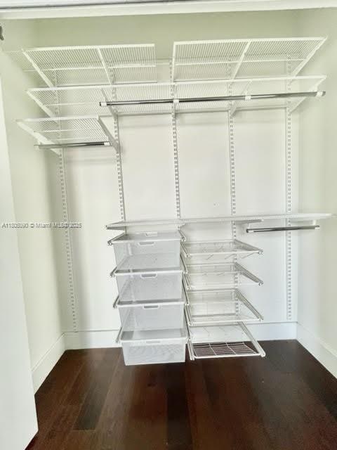walk in closet with wood finished floors