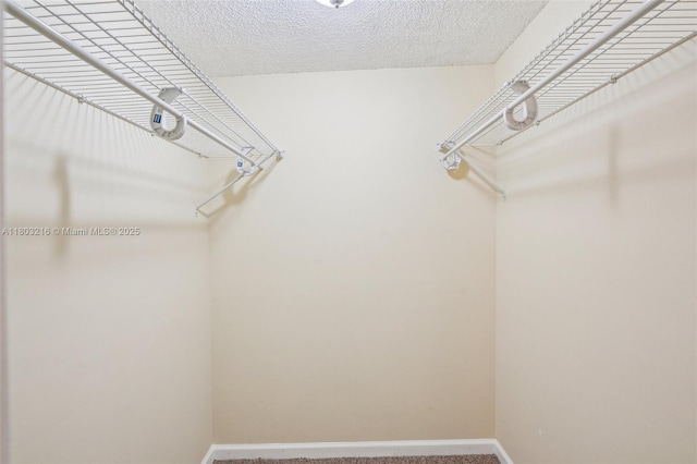 3774 Inverrary Blvd Unit 203P, Lauderhill, FL 33319 - spacious closet with carpet flooring