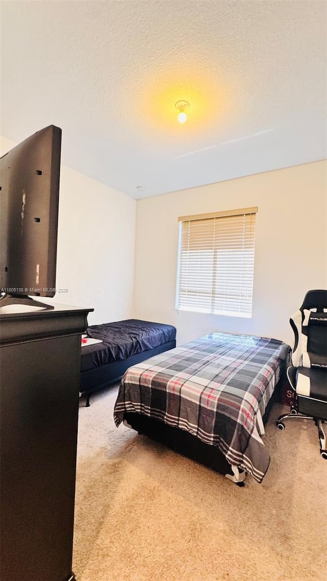 21463 NE 3rd Path, Miami, FL 33179 - bedroom with carpet flooring