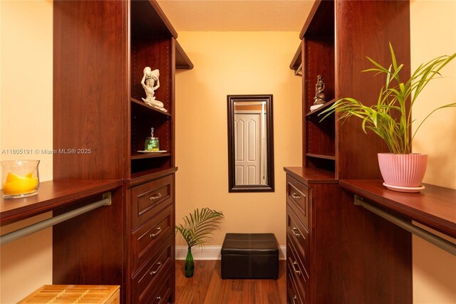 15332 SW 142nd Ter, Miami, FL 33196 - spacious closet with dark wood-style flooring