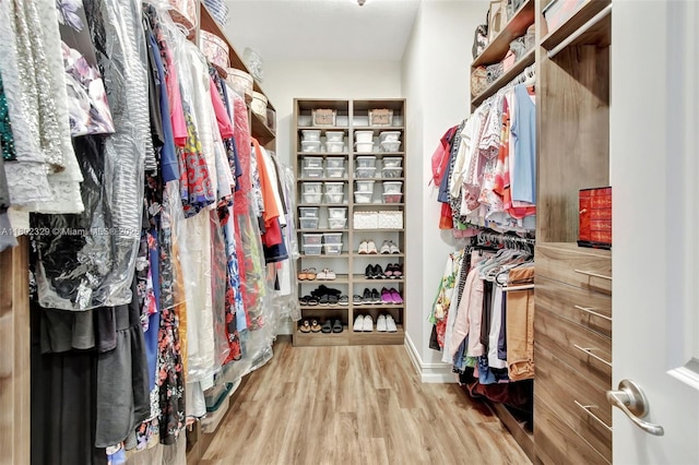 5474 S Sterling Ranch Cir, Davie, FL 33314 - spacious closet with wood finished floors