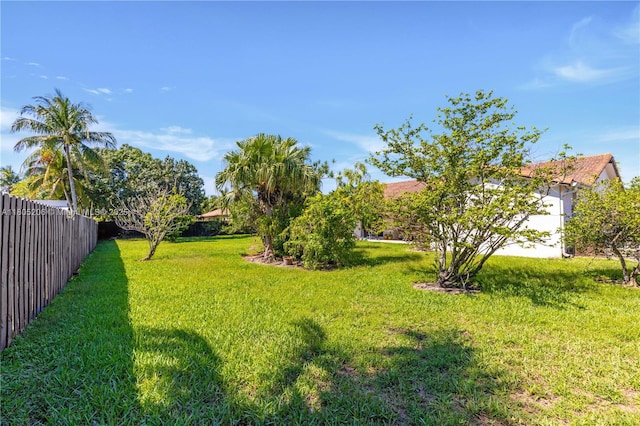 22041 SW 127th Ct, Miami, FL 33170 - view of yard
