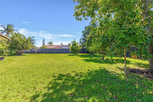 22041 SW 127th Ct, Miami, FL 33170 - view of yard