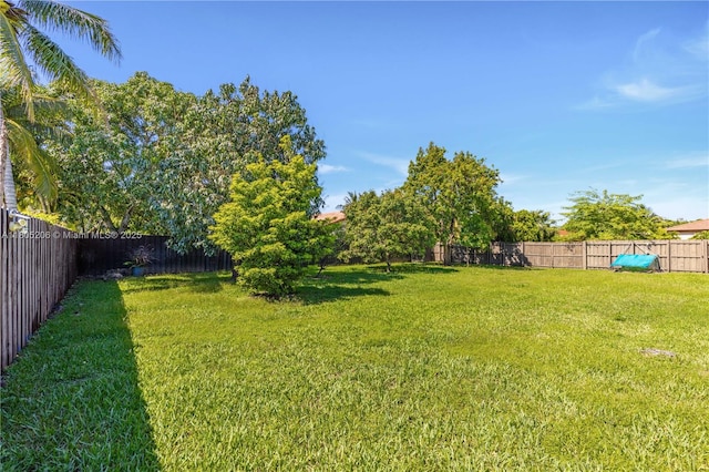 22041 SW 127th Ct, Miami, FL 33170 - view of yard