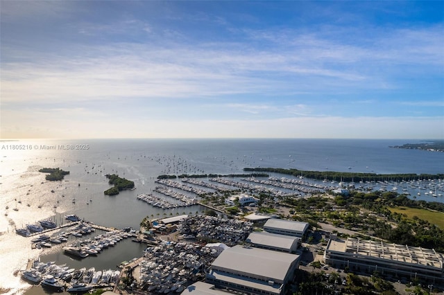 bird's eye view of a large body of water and numerous boat docks