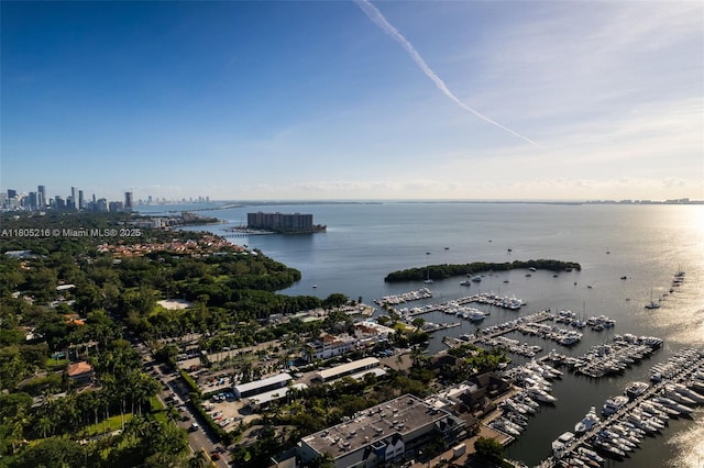 water view with a marina and nearby urban area
