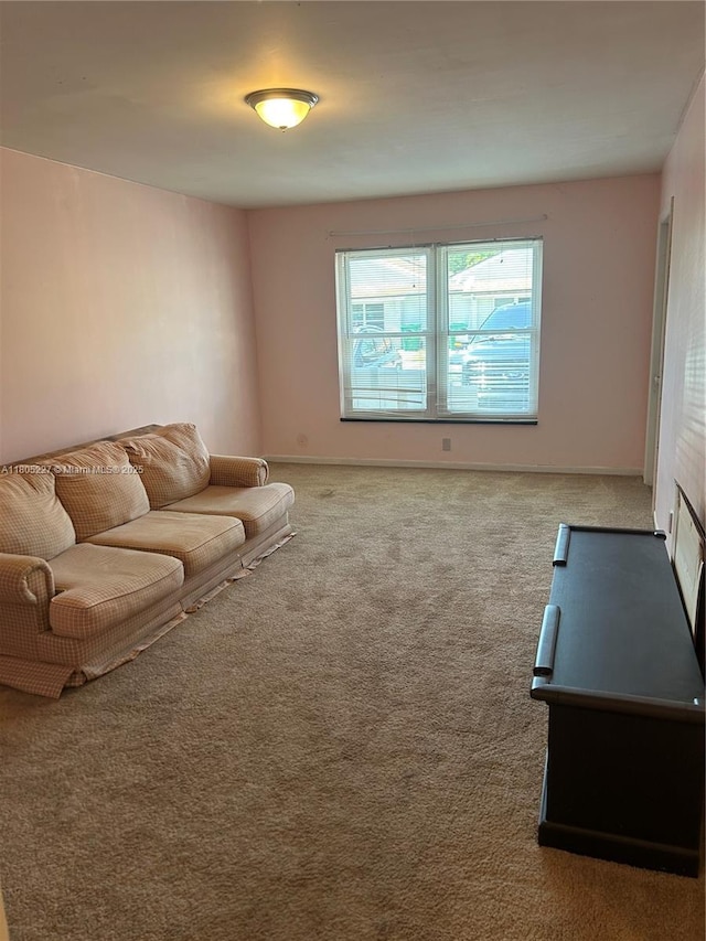 8631 Bridle Path Ct, Davie, FL 33328 - living room with carpet