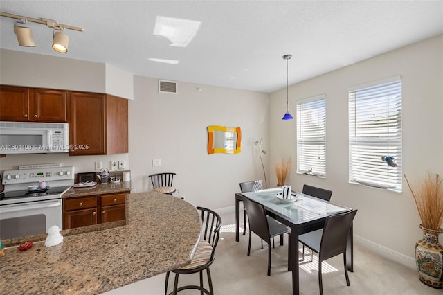 9021 SW 94th St Unit 306, Miami, FL 33176 - kitchen with white appliances, brown cabinets, light colored carpet, and decorative light fixtures