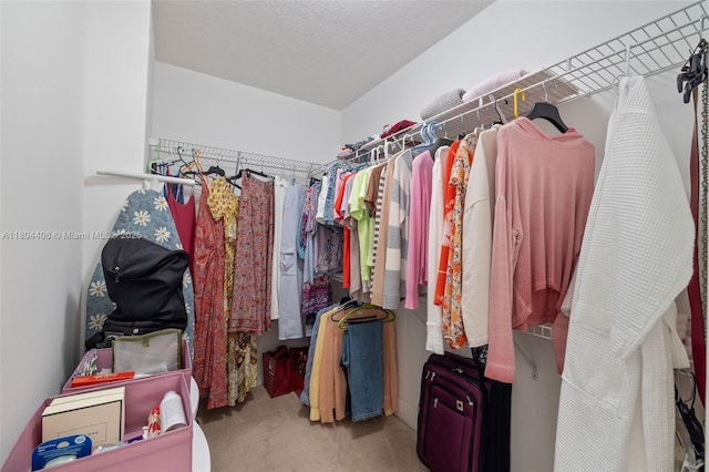 9021 SW 94th St Unit 306, Miami, FL 33176 - walk in closet with carpet flooring