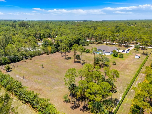 bird's eye view of a forest