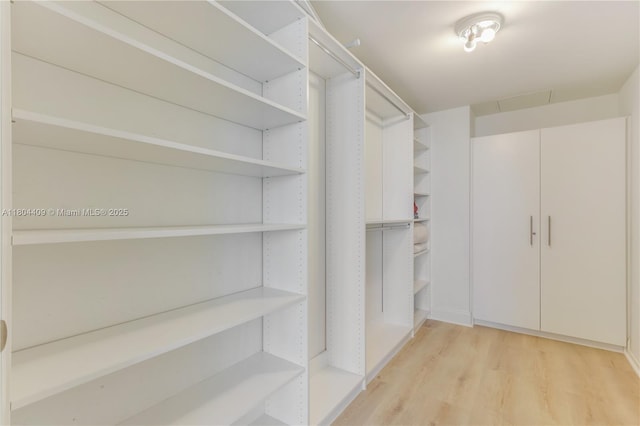 1830 S Ocean Dr Unit 3804, Hallandale Beach, FL 33009 - walk in closet featuring light wood-style floors