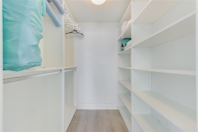 1830 S Ocean Dr Unit 3804, Hallandale Beach, FL 33009 - walk in closet featuring light wood-style flooring