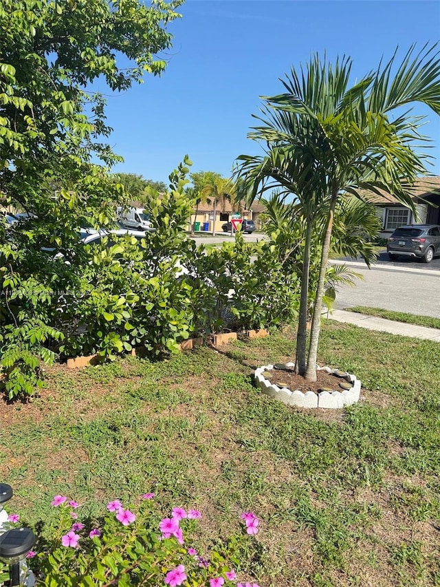 9481 W Elm Ln, Miramar, FL 33025 - view of yard
