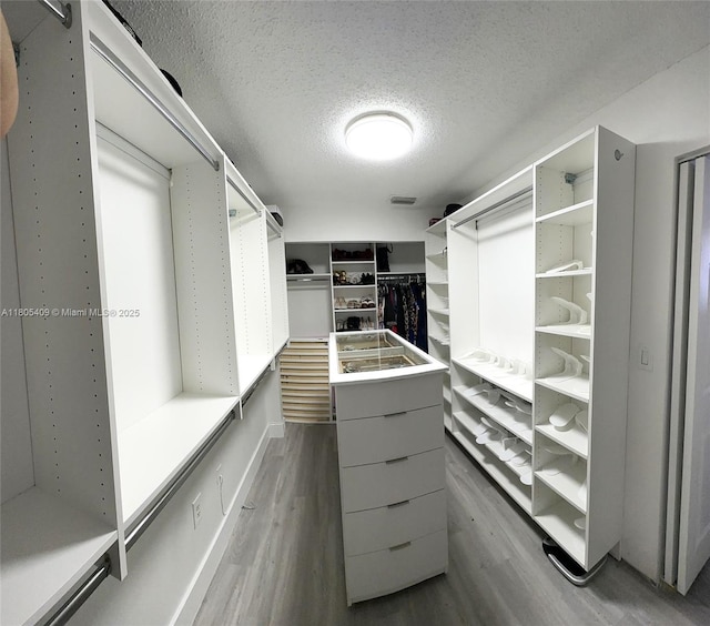 2207 SE 23rd Ave Unit 2207, Homestead, FL 33035 - walk in closet with dark wood-style floors
