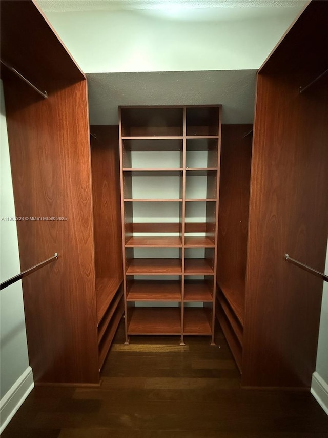 218 NE 12th Ave Unit 503, Hallandale Beach, FL 33009 - spacious closet with wood finished floors