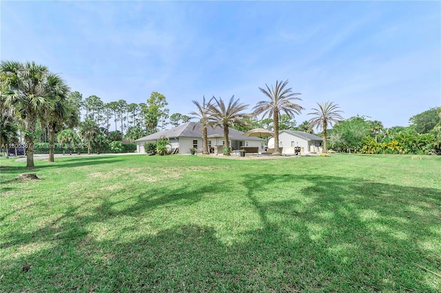 16783 92nd Ln, Loxahatchee, FL 33470 - view of grassy yard