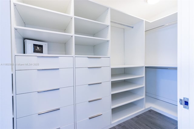10203 Collins Ave Unit 302, Bal Harbour, FL 33154 - walk in closet with dark wood-style flooring