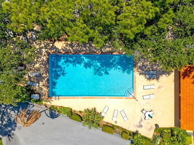 bird's eye view of a pool