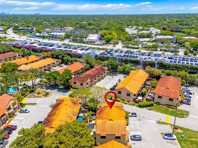 drone / aerial view