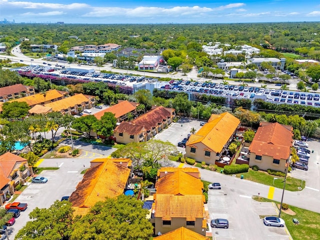 drone / aerial view